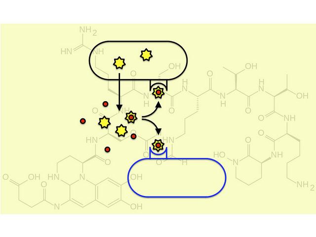 illustration of bacteria working against other bacteria eating food