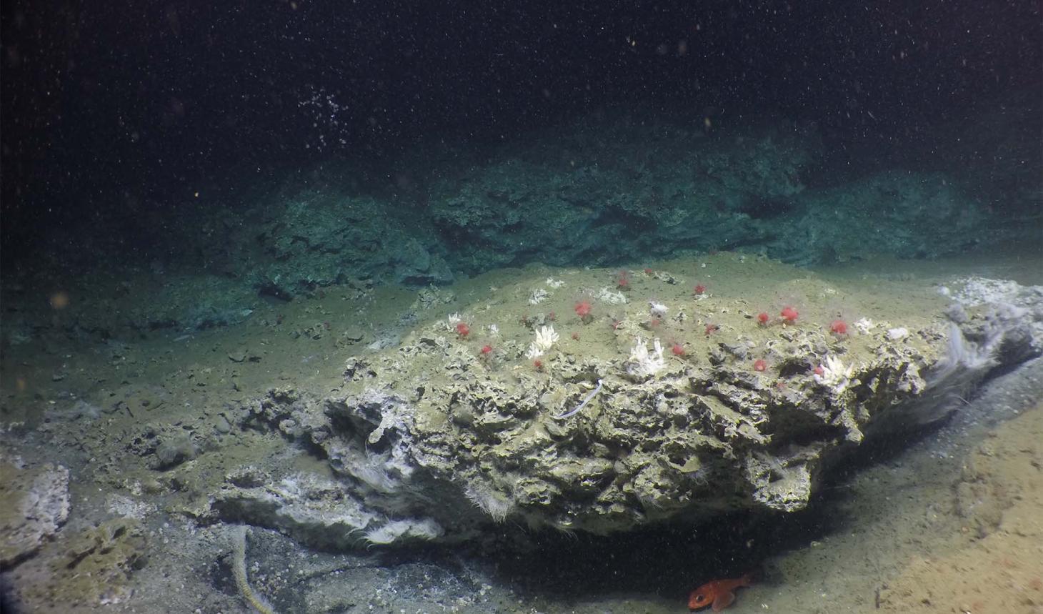 Methane spilled on ocean floor.