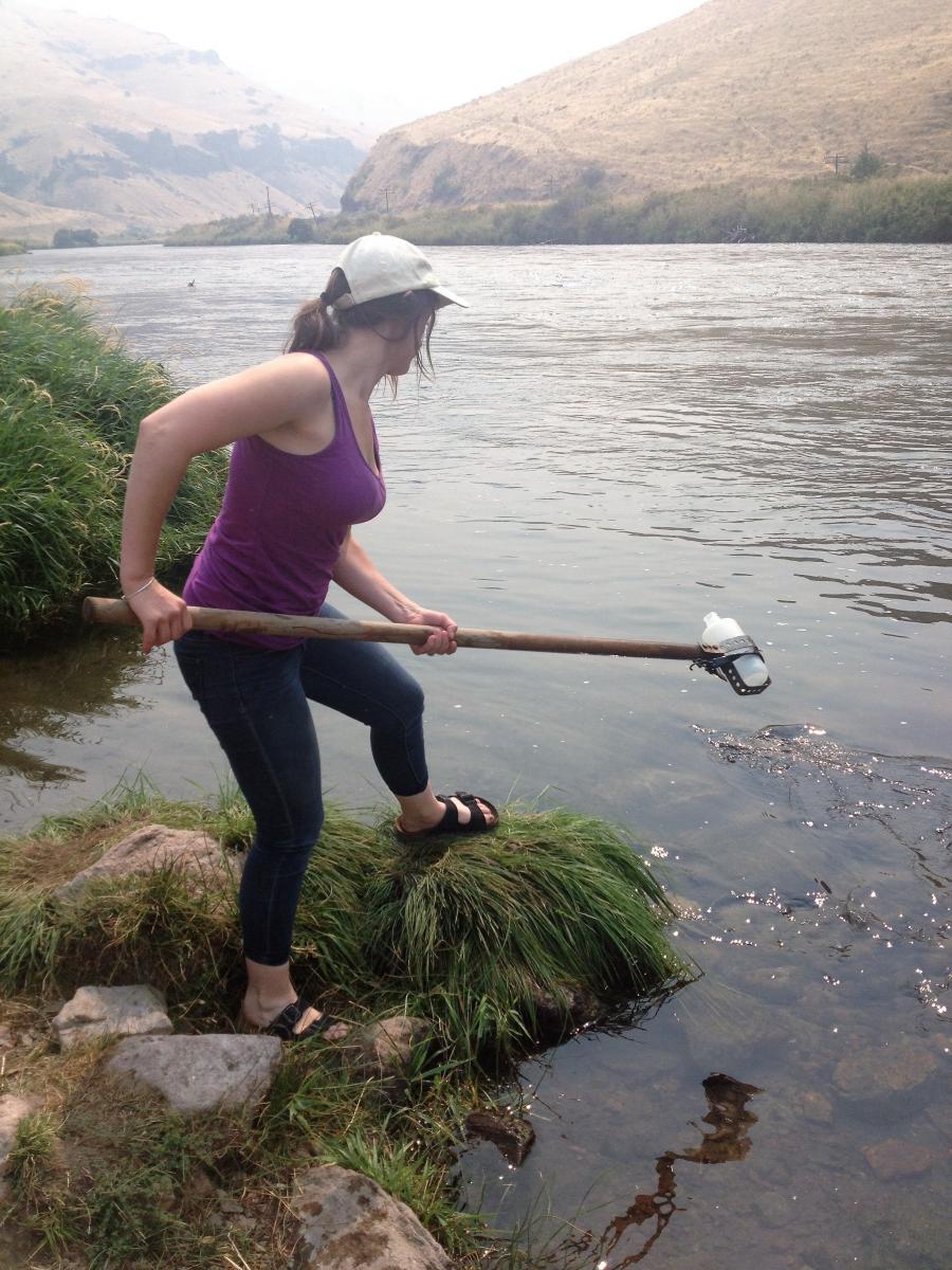 Microbiologist collecting water samples along a creek with a water bottle taped to a stick.
