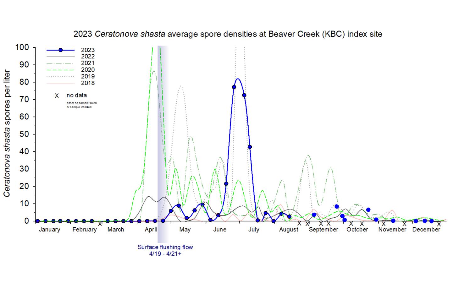 Graph showing the density of waterborne Ceratonova shasta at the Beaver Creek index site in 2023.