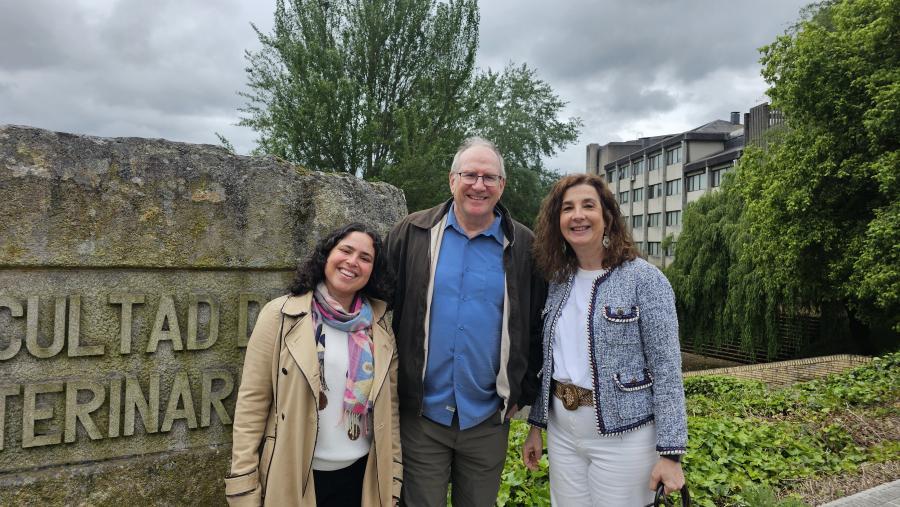 Manuela De Azevedo Gomes, Michael Kent, and Maribel Quiroga Berdeal.