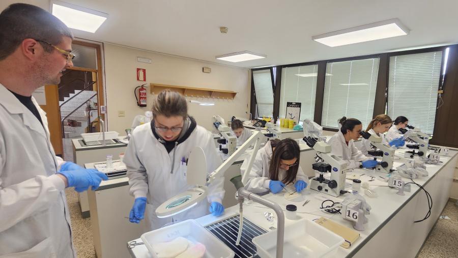 Participants study cultures and conduct experiments in the lab to better understand zebrafish diseases.