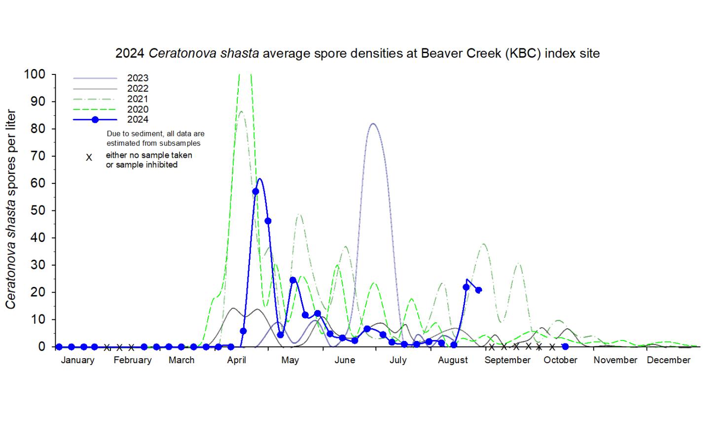 Graph showing the density of waterborne Ceratonova shasta at the Beaver Creek index site in 2024.