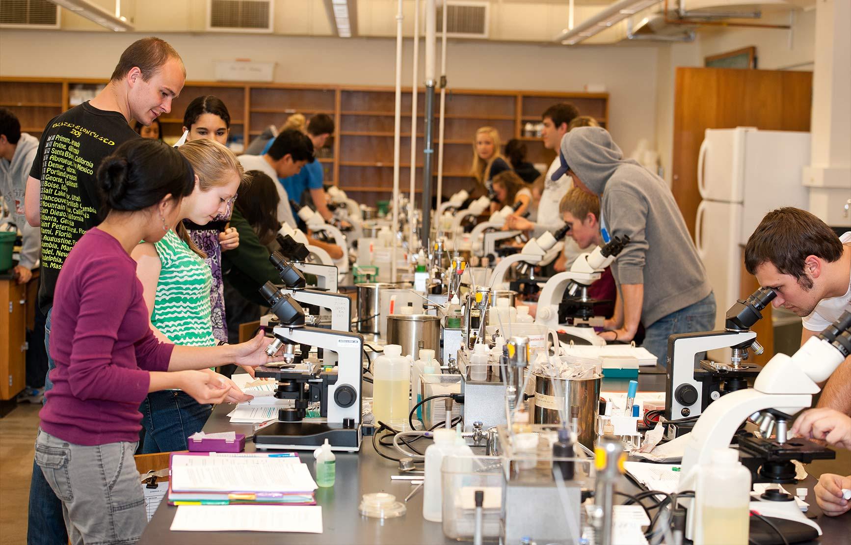 Undergraduate students working in a lab.