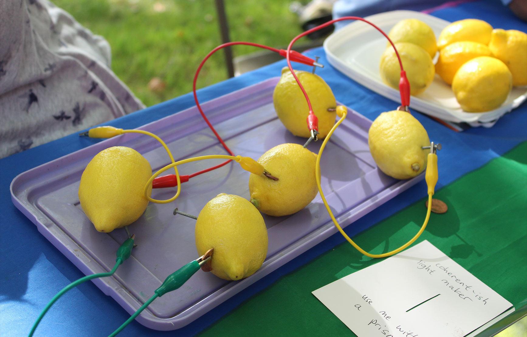 Lemons wired up for a science experiment at a club booth.