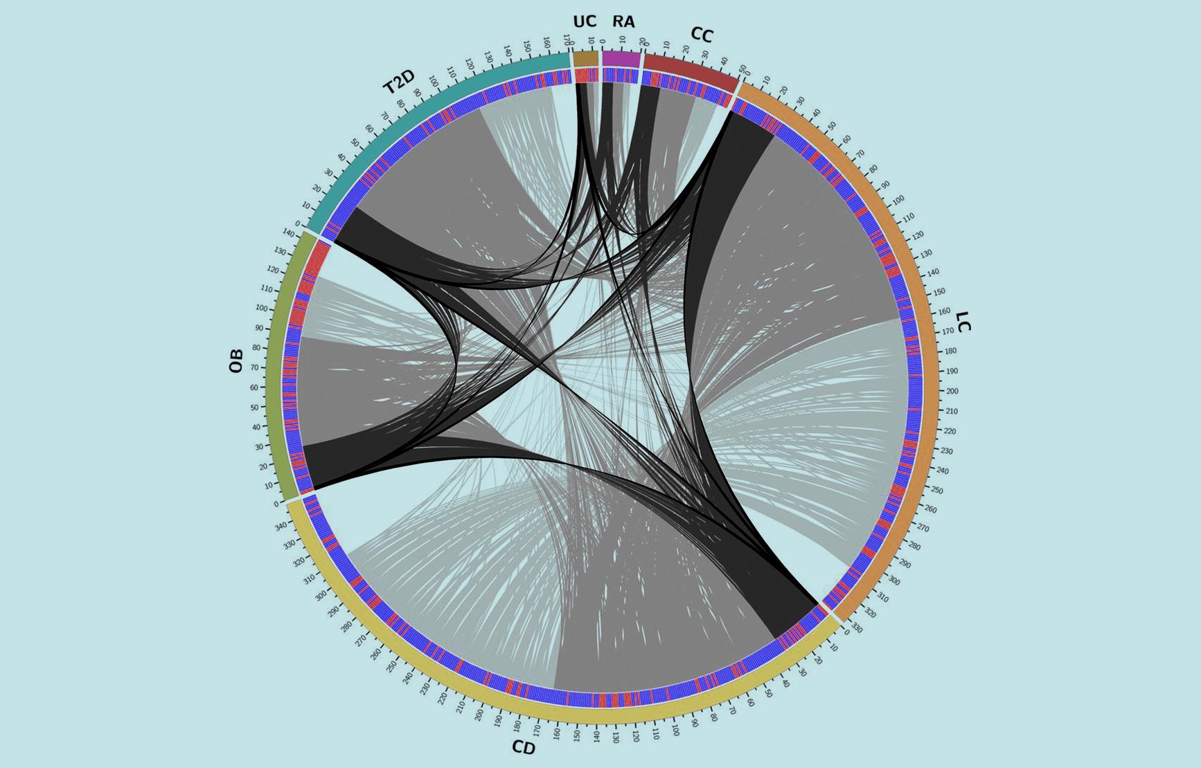 A circular chart with overlapping lines representing a data science study