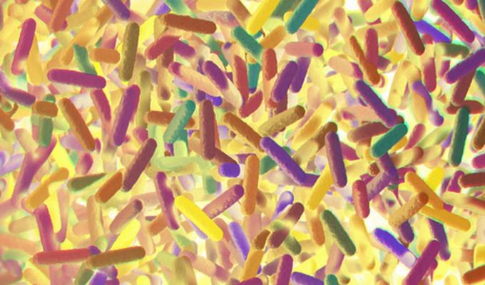 picture of yellow microbiomes